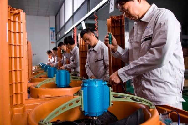 1687663831435117.jpg 3636-5.jpg